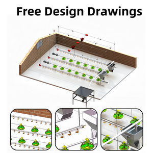 Sistema de línea para beber pollo, tubería de agua de <span class=keywords><strong>Pvc</strong></span>, línea automática para beber aves de corral con <span class=keywords><strong>bebedero</strong></span> de pezón - Product Image 5