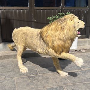 Estatua de León de La Selva de buena calidad, molde profesional personalizado, animales de peluche, León para decoración de fiesta - Product Image 4