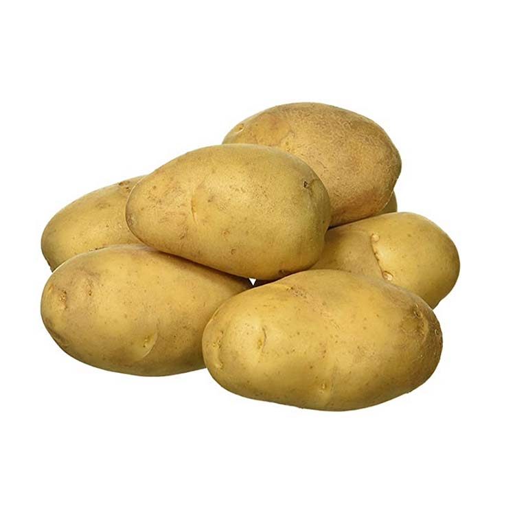wholesale Fresh holland potatoes with mesh bag packing fresh potato export price fresh sweet potatos export price