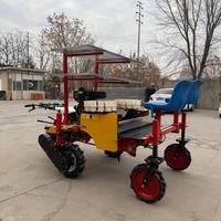 Trasplantadora de Plántulas Autopropulsada de Dos Filas, Equipo Portátil para Trasplante Agrícola
