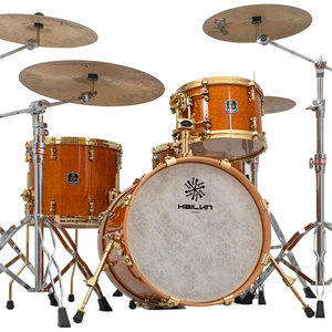 Hailun chuyên nghiệp cấp của chim mắt Maple trống thiết lập Chất lượng cao Bộ gõ với được xây dựng trong giai điệu Nhẫn nhà máy trực tiếp giá rẻ - Product Image 1