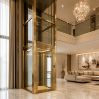 Lüks Villa Ev Asansörü Altın Çerçeveli Cam Panoramik Konut Asansörü Çift Katlı Oturma Odası Modern Tasarım