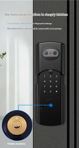 Cửa sắt cũ đầu bò mật khẩu Khóa vân tay với wifi Kiểm soát chống trộm thông minh điện hợp kim nhôm đám mây - Product Image 4