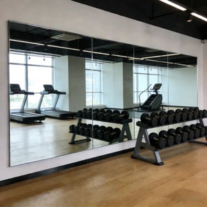 Miroir argenté personnalisé pour la remise en forme, durable, imperméable, éco-responsable, moderne, pour salle de sport, studio de danse - Product Image 1