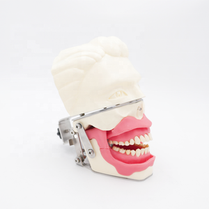 Model pelatihan anestesi Oral simulasi rahang gusi realistis untuk Model anestesi konduksi gigi latihan injeksi - Product Image 2