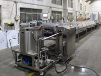 Mini Chocolate Depositor Machine Full Automatic Chocolate Chip Cookie Machine Chocolate Drops Machine