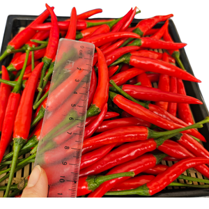 บรรจุภัณฑ์แบบกำหนดเองสำหรับอาหารผักและพริกสดจากการเกษตรเวียดนามที่ทนทานสำหรับอาหารแปรรูปจากวัตถุดิบ - Product Image 1