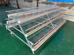 Jaula para Pollos Galvanizada por Inmersión en Caliente de Fábrica, 3 Niveles, 120 Pollos - Product Image 5