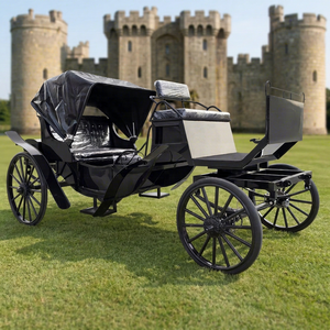 Carruaje Turístico, Carruaje Tirado por Caballos, Carruaje Negro de Cuatro Ruedas de Alta Calidad, con Toldo, Carruaje Europeo en Oferta - Product Image 1