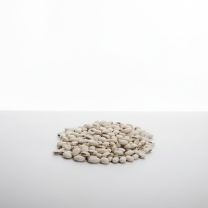 Extracto de Semilla de Mucuna Pruriens Orgánico Safed Cowhage, Cultivo Silvestre, Empaque Suelto en Bolsa - Product Image 3