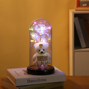 Rosa de La Bella e la Bestia con Luce a LED e Orsetto Galassia Artificiale, la Più Popolare Rosa Galassia a LED in Cupola con LED - Product Image 6