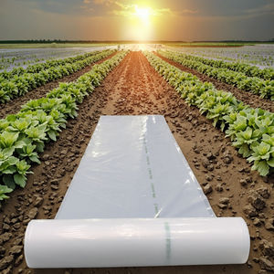 कृषि 200 माइक्रोन ग्रीनहाउस फिल्म 2025 कारखाने मूल्य 6 मील नमी-प्रूफ पी प्लास्टिक फिल्म को कवर किया गया - Product Image 5