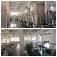 Acier inoxydable 304 300L-1000L, équipement de fermentation, liquide de fermentation conique de champignons, réservoir de fermentation de vin de fruit