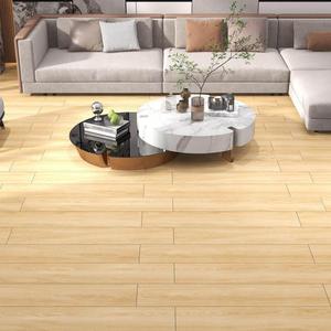 Nouvelle Collection 2026 : Carrelage en Porcelaine Effet <span class=keywords><strong>Bois</strong></span> Mat Pleine Masse 200x1000mm pour Revêtement de Sol Ghana Blaze Build - Product Image 3