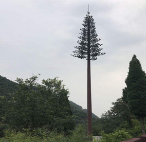 자연보호구역 및 관광섬을 위한 튼튼한 생체공학 나무형 부식방지 통신탑 - Product Image 1