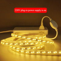 Lampu Strip LED 220V High Lumen Luz 5730 Baris Ganda 120LED 100m/Roll IP67 Tahan Air Pencahayaan Lanskap Luar Ruangan Merah Biru Hijau