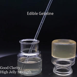 Gelatina Comestible <span class=keywords><strong>Halal</strong></span> para Pasteles Polvo de Gelatina Comestible para Jugos y Postres - Product Image 2