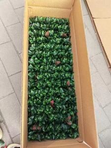 Clôture de <span class=keywords><strong>haie</strong></span> en treillis de lierre artificiel pour balcon et patio - Product Image 5