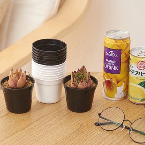 <span class=keywords><strong>Pot</strong></span> de pépinière promotionnel mignon et économique pour plantes succulentes, rond ou carré, <span class=keywords><strong>blanc</strong></span> ou noir, 2,6'' ou 2,1'' - Product Image 5