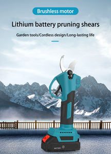 Outils à main de jardinage Ciseaux - Product Image 6