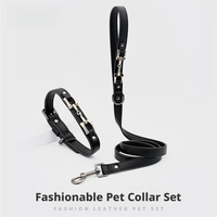 Ensemble collier et laisse pour chien, double boucle réglable en métal, aspect cuir, noir, accessoires pour animaux de compagnie, produits et fournitures pour la promenade