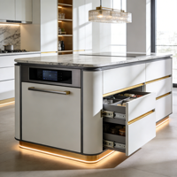 Meubles de cuisine de luxe minimalistes avec accents dorés, lave-vaisselle intégré et éclairage d'ambiance sous l'îlot