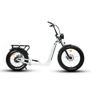 BTN 1000WOEM大人用電動スクータードロップシッピングオートバイスクーター2輪パワフル最速モーター電動スクーター