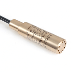Sensor de Nivel Sumergible de Acero Inoxidable RS485, Medidor de Aceite - Product Image 3