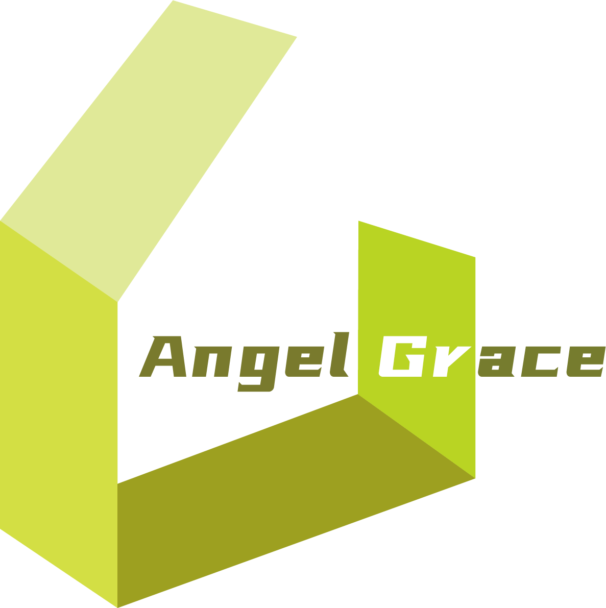 Foshan Angel Grace Home Building Materials Co., Ltd. logo