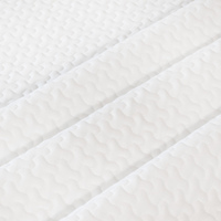 100% Tencel organique régulant la chaleur et évacuant l'humidité draps hypoallergéniques