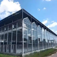 Serres agricoles multi-spans en verre de type Venlo à prix de gros pour la culture de tomates