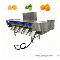 Automatische aardbeien- en citrus sorteermachine voor fruitverwerkingsbedrijven