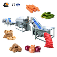 Industriële aardappelrolschilmachine, wortelschiller, tomatenwasapparatuur, groentesnijder, groentewas- en snijlijn
