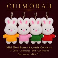 Porte-clés en peluche personnalisé en usine, 8 couleurs, lapins, logo CE OEM, 10 cm, breloque de sac en peluche, cadeau du Nouvel An, CUIMORAH, polyester, unisexe