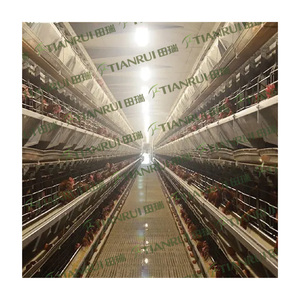 Jaula para <span class=keywords><strong>pollos</strong></span> <span class=keywords><strong>de</strong></span> exportación, gallinero para 5000 gallinas en <span class=keywords><strong>venta</strong></span> - Product Image 4