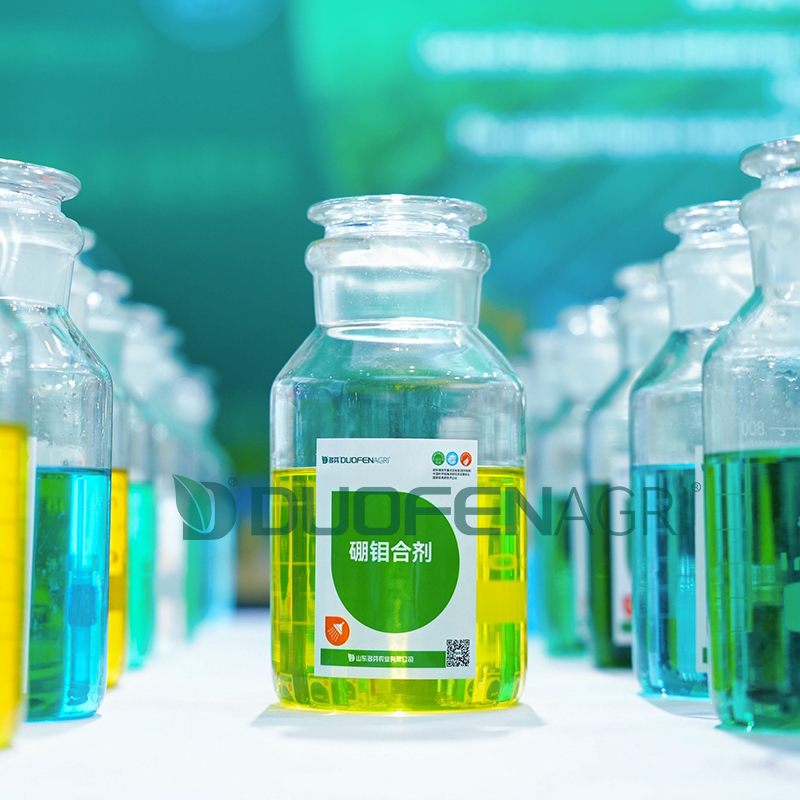 Wholesale Organic Liquid Boron Fertilizer for Foliar Spray image 4