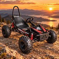 Kart tout-terrain à essence 212CC 4 temps haute vitesse avec transmission CVT, réservoir de carburant de 3,5 L et capacité de charge de 180 kg pour l'aventure