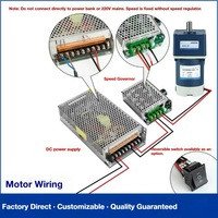 Moteur à engrenages CC monophasé compact et personnalisable à faible bruit, 6W-250W, avec contrôleur 12V et protection IP54 pour portails automatiques - Vente chaude