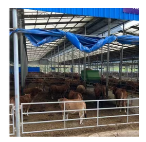 แผงรั้วเหล็กคาร์บอนชุบสังกะสีสำหรับม้า แผงรั้วปศุสัตว์ แผงรั้วปศุสัตว์ชนิดโค รั้วนิรภัย ดีไซน์ทันสมัย ราคาโรงงาน - Product Image 4