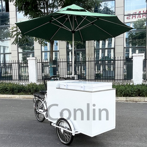 Chariots de crème glacée de vélo électrique chariot de boisson de voyage chariot poussoir de réfrigérateur <span class=keywords><strong>à</strong></span> vendre - Product Image 3