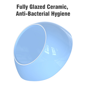 Gamelle en céramique pour chat – Sécurité et hygiène, anti-acné, facile à nettoyer (sans dropshipping) - Product Image 2