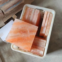 Plaques de sel rose de l'Himalaya, provenant de la montagne de l'Himalaya, pour sauna, service de nourriture