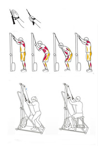 <span class=keywords><strong>Machine</strong></span> d'entraînement de <span class=keywords><strong>ski</strong></span> aérien commerciale à succès, équipement de fitness <span class=keywords><strong>cardio</strong></span>, entraînement croisé, <span class=keywords><strong>ski</strong></span> et rameur - Product Image 3