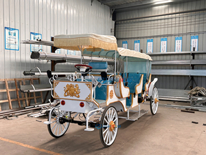 Nouvelle calèche de mariage de style victorien / Calèche à chevaux de haute qualité / Calèche électrique à chevaux à vendre - Product Image 5