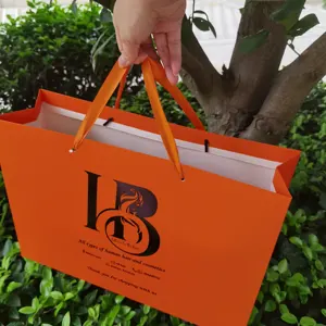 व्यक्तिगत कूरियर सस्ते दाम फैशनेबल यूरो दुकानदार पेपर बैग क्रिसमस पेपर बैग