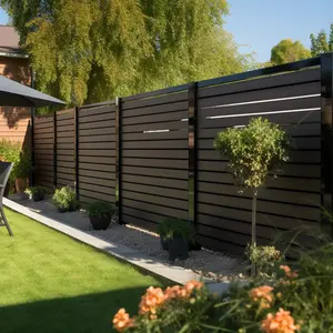 Recinzione in plastica di legno composito Wpc casa giardino cortile pannelli recinzione meglio di vinile Pvc recinzione