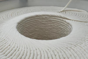 Machine à carder le coton en continu pour la fabrication de fils et de bandes, dispositif de prétraitement pour les cotons-tiges et les boules de coton, haute productivité - Product Image 3