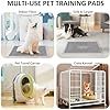 Tapis d'apprentissage jetables pour chiots, tapis absorbants pour chien toutes tailles, fabricant de tapis jetables pour animaux de compagnie, vente en gros - Product Image 4