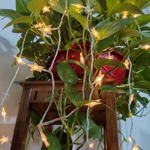 3M lampeggiante Led piccola stella stellata stringa di luce impermeabile per natale ornamenti di nozze decorazione - Product Image 4