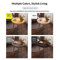 Table Basse Nordique en Plastique, Design Moderne et Simple, Multifonctionnelle pour Chambre, Salon, Balcon, Appartement en Location, Maison